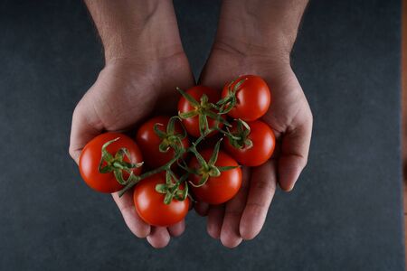 Fresh organic cherry tomatoesの写真素材