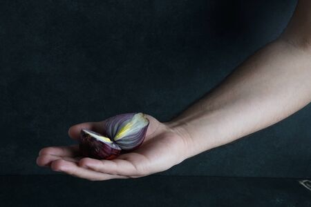 Red onions stock photo