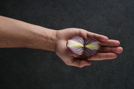 Red onions stock photo