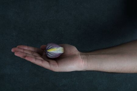 Red onions stock photoの写真素材