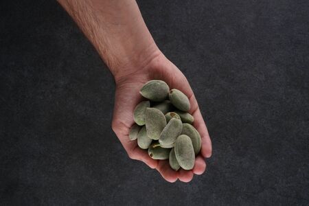 Raw fresh green almonds stock photoの写真素材