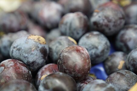 Fresh plums background stock photo