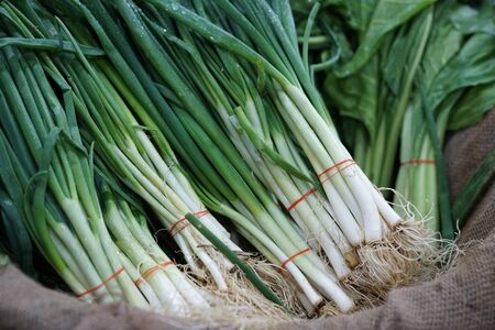 Market fresh vegetables, onions stock photo