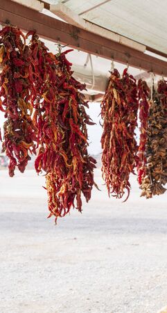 sun dried pepperの写真素材