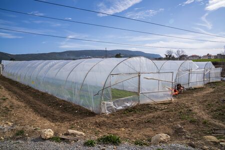 Greenhouse stock photoの写真素材