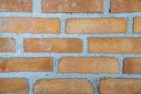 Birck Wall Background