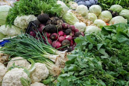 Delicious fresh vegetables and fruits at the refrigerated section of a supermarket stock photoの写真素材