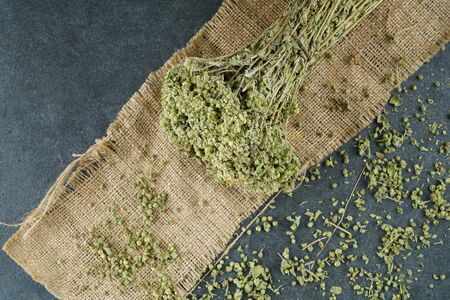 health herb thyme bunchの写真素材
