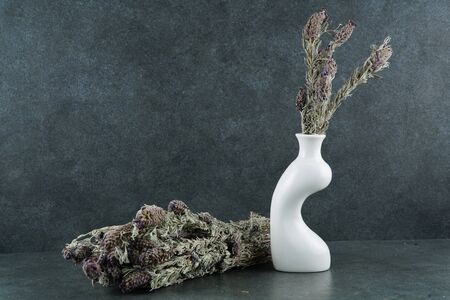 health herb called black bass grassの写真素材