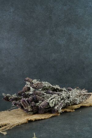 Herb called black basil from by tukish peopleの写真素材