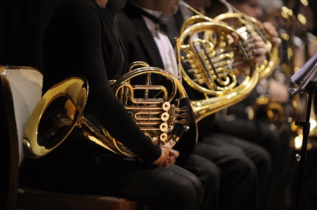 french horn during a classical concert musicの写真素材