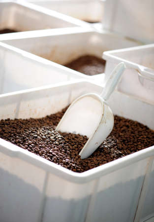 Coffee Beans 