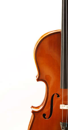 front view shot of a violinの写真素材