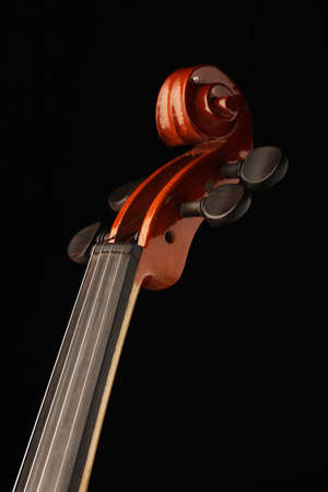 Elegant shot of a violinの写真素材
