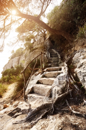 Landscape with stone stairs and treeの写真素材