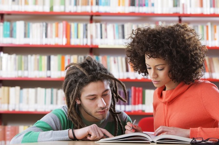 Two students learning together indoors in libraryの写真素材