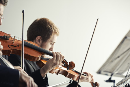 Violinists playing at the concertの写真素材