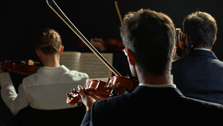Violinists playing at the concert, rear viewの写真素材