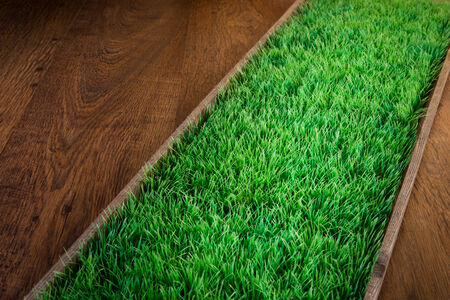 Artificial grass on hardwood floor, gardening and environmental care concept.