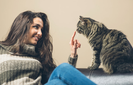Young woman playing with her cat and touching his noseの写真素材