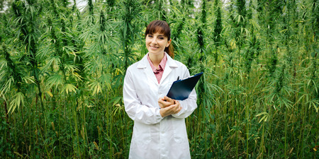 Confident female doctor with clipboard posing in a hemp field, alternative herbal medicine conceptの写真素材
