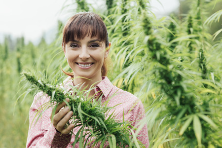Young smiling woman in a hemp field checking plants and flowers, agriculture and nature conceptの写真素材