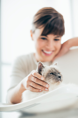 Young smiling woman cuddling her beautiful long hair cat lying on a chair, pets and lifestyle conceptの写真素材