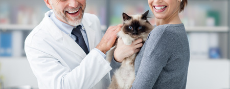 Smiling woman and her cat at the veterinary clinic, a doctor is cuddling her petの写真素材