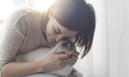 Happy woman hugging and petting her beautiful birman catの写真素材