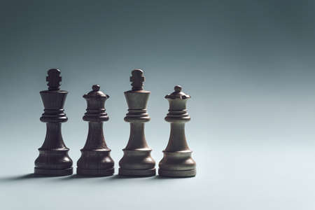 Opponent kings and queens standing in line, chess game concept, blank copy space