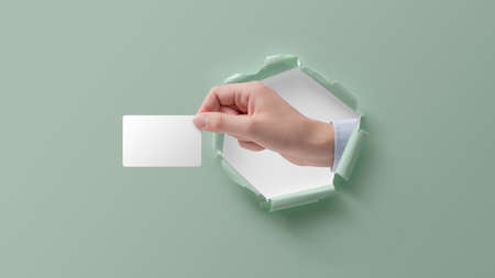 Female hand in a paper hole holding a blank business cardの写真素材