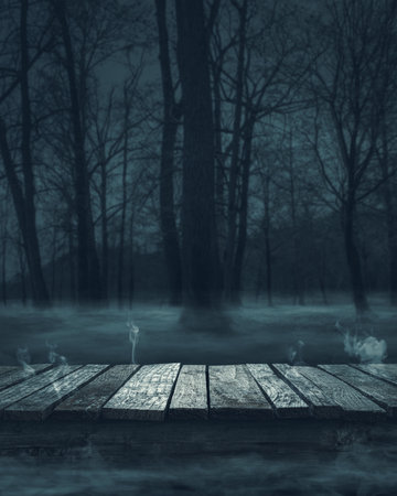 Old ruined wooden pier at the lake and moonlit misty spooky forest at night: horror backgroundの写真素材