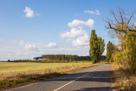 Field after harvest. Pine forest on the horizon. The road passing along the field. Blue sky.の写真素材