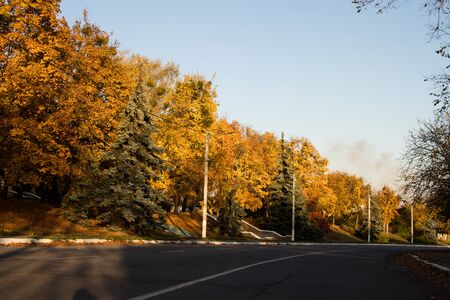 Colorful autumn trees. Trees by the road. Winding road. Power line along the road.の写真素材