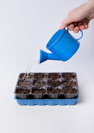 Planting plants, garden tools, person planting and watering plants