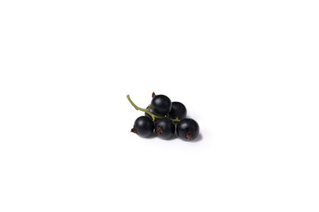 Black currants on a white background, isolated.の写真素材