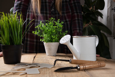 Gardener set with watering can and gardening tool. Inventory, tools for planting, plant care. The concept of growing seedlings, plants. Gardening.の写真素材
