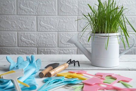 Colored garden tools and planting supplies. Magazine picture, greenery and gardening concept.の写真素材