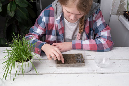 A girl plants microgreens on a linen rug. The concept of a healthy lifestyle, natural greens without GMOs, without pesticides, without fertilizers.の写真素材