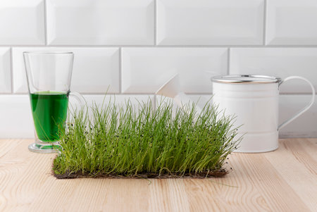 The concept of a healthy lifestyle and diet, eco-product. Preparation of a drink with sprouts, vegetable fresh microgreens Raw sprouts for vitgrass.の写真素材