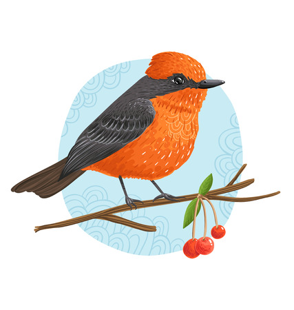Vermilion Flycatcher beautiful bird vector illustrationのイラスト素材