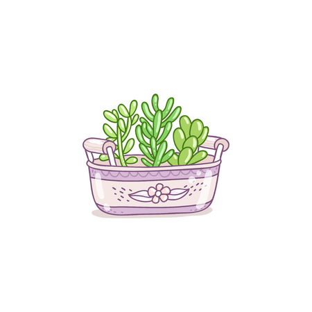 Three succulents in a pot, vector illustrationのイラスト素材