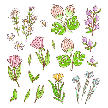 Beautiful wild flowers colorful collection isolated on whiteのイラスト素材