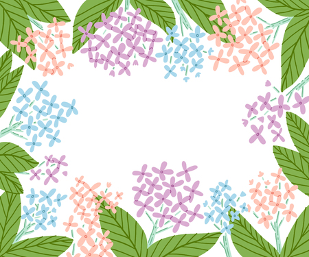 Hydrangea flowers frame, vector illustrationのイラスト素材
