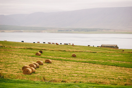 Rural landscape in Icelandの写真素材