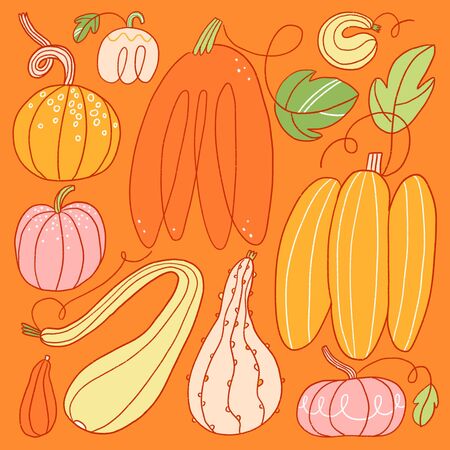 Amazing pumpkin illustrations setの写真素材