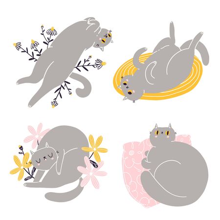 Cute british shorthair cat vector collectionのイラスト素材