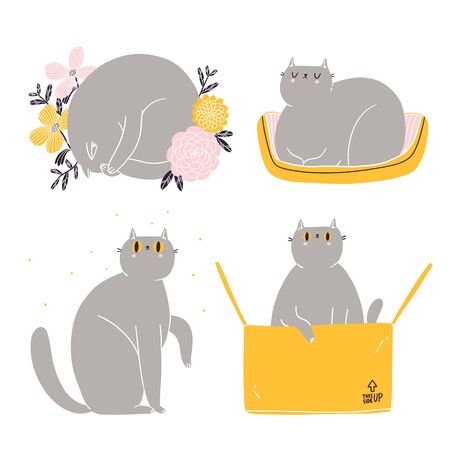 Cute british shorthair cat vector collectionのイラスト素材