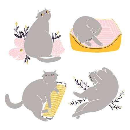 Cute british shorthair cat vector collectionのイラスト素材
