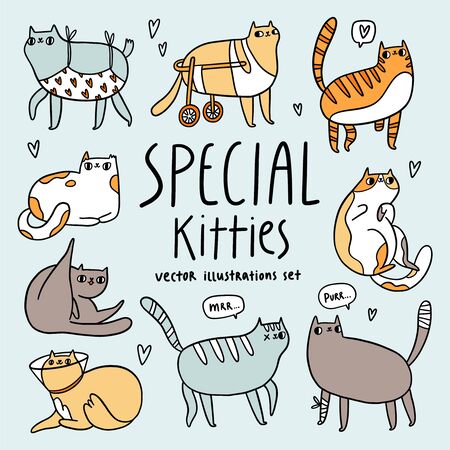 Cute special cats cartoon vector illustrations setのイラスト素材
